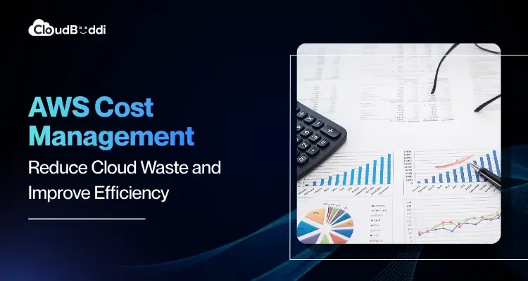 aws-cost-management